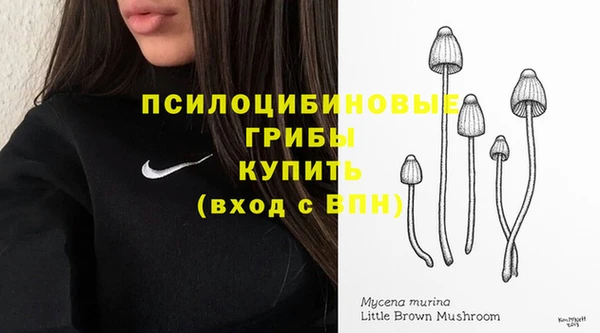 стафф Алексеевка