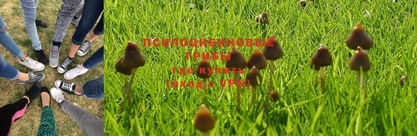 дмт Абдулино