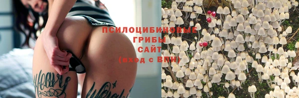 стафф Алексеевка