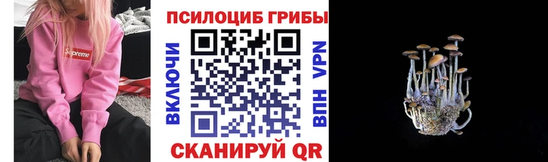 цена Владимир Галлюциногенные грибы мицелий